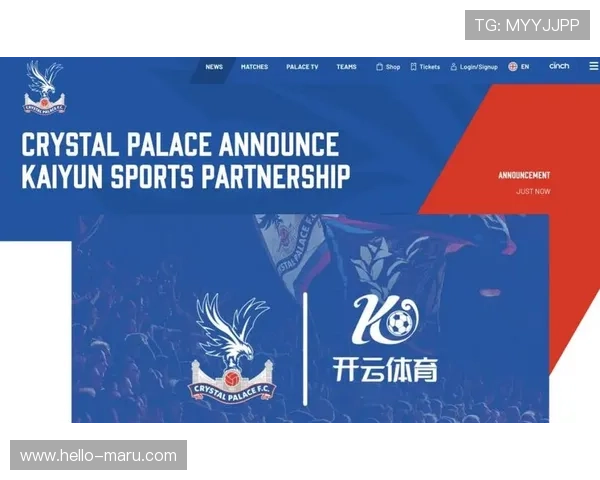 深度解析开云体育免费下载的优雅界面与功能特色