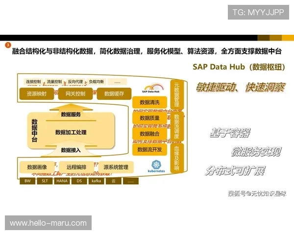 开云官网新闻解读品牌在数字化转型中的创新举措与未来规划